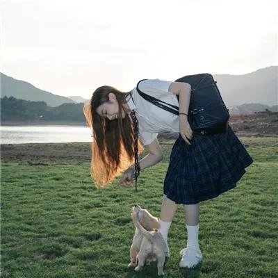 萌犬偷渡记